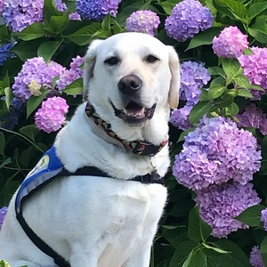 Emily Lezon & service dog, Bingham